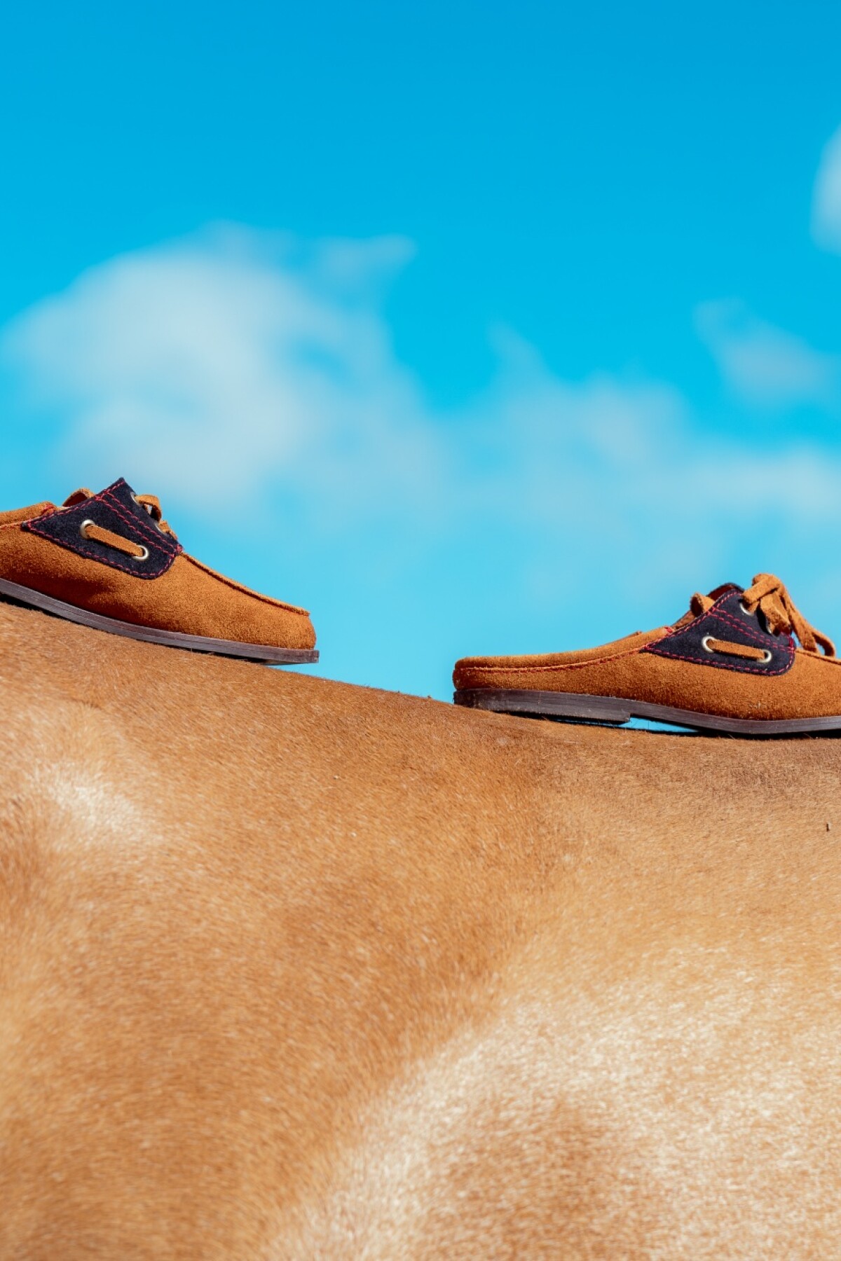 Half Del Corral Shoes Habano / Azul