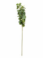 PLANTA VERDE