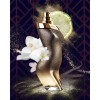 Perfume Shakira Dance Midnight EDT 50ml Perfume Shakira Dance Midnight EDT 50ml