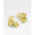 FRANGINA YELLOW YELLOW
