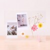 Portaretraros de acrilico DIY Flores secas Helio Ferreti Portaretraros De Acrilico Diy Flores Secas Helio Ferreti