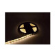 Cinta luz led cálida 5 mts + Transformador CALIDO