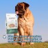 BIOFRESH PERRO ADULTO RAZAS GRANDES CERDO Y ANANA 15 KILOS BIOFRESH PERRO ADULTO RAZAS GRANDES CERDO Y ANANA 15 KILOS