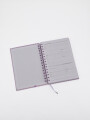 AGENDA RAYAS ROSA 2027 ROSADO