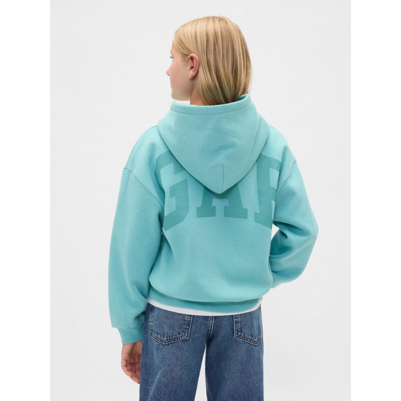 VTG SOFT LOGO PO_FA25 FROSTBITTEN BLUE
