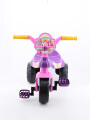 TRICICLO PRINCESAS VIOLETA