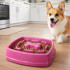 Plato Comedero Come Lento Perros Gatos Mascotas Plastico Color Fucsia