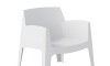 Silla Sillón de Exterior Master Blanco Mate