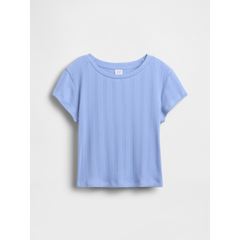 SS VARIEGATED RIB TEE BRIGHT HYACINTH