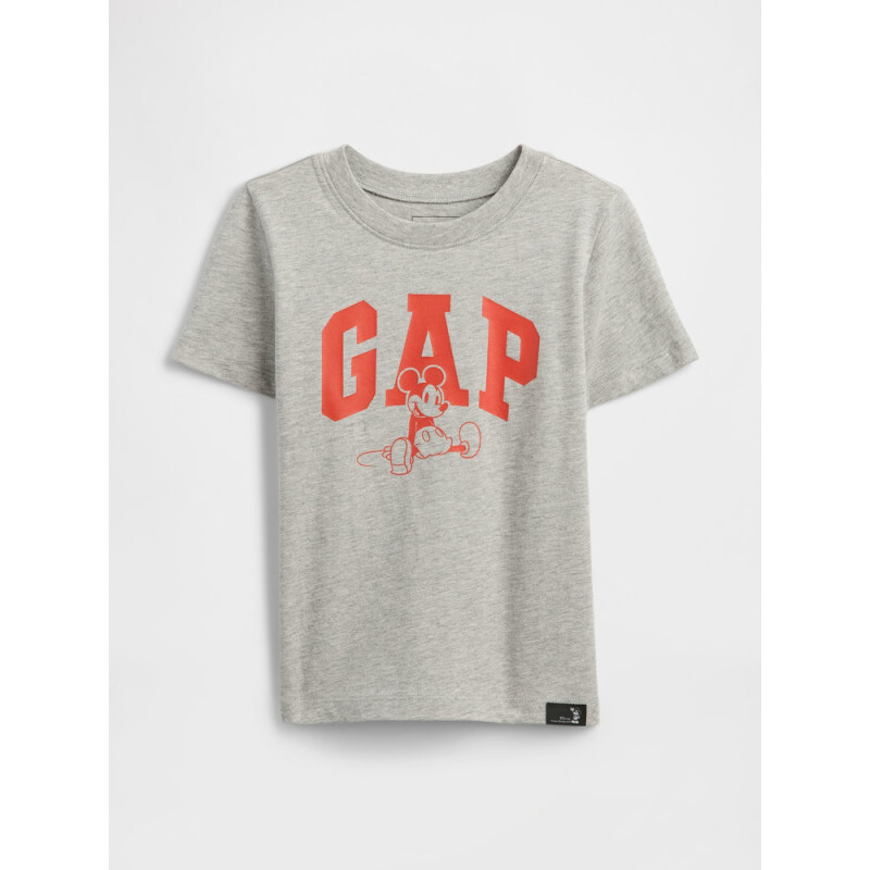 V-DISLOGO X GAP FAM SS GR T SP DIS FAM B08