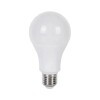 LAMPARA LED 18W FRIA IXEC Lampara Led 18w Fria Ixec