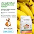 BIOFRESH PERROS ADULTOS RAZAS PEQUEÑAS Y MINI 10,1 KG