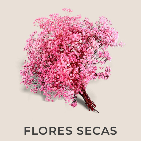 Flores Secas