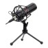 Micrófono Redragon Blazar GM300 Micrófono Redragon Blazar GM300