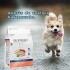 BIOFRESH PERROS CACHORROS RAZAS PEQUEÑAS Y MINI 10.1 KG