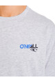 Remera O'Neill Oversized Urban Grunge Gris