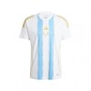 Camiseta de Entrenamiento Messi adidas white/semi blue burst