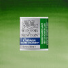 Acuarela Cotman - Winsor & Newton Tonos Verdes