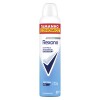 Antitranspirante Aerosol Cotton Dry 250 ml - Rexona Antitranspirante Aerosol Cotton Dry 250 ml - Rexona