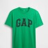 V-EVERYDAY SOFT BASIC LOGO T GALLANT GREEN