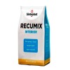 CEMENTO REPARA GRIETAS RECUMIX INTERIOR 500GR Cemento Repara Grietas Recumix Interior 500gr