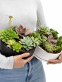 PAILA CERAMICA CON SUCULENTAS (TERRARIO) NEGRO