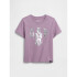 V-DISLOGO TEE SP DIS FAM AMETHYST2
