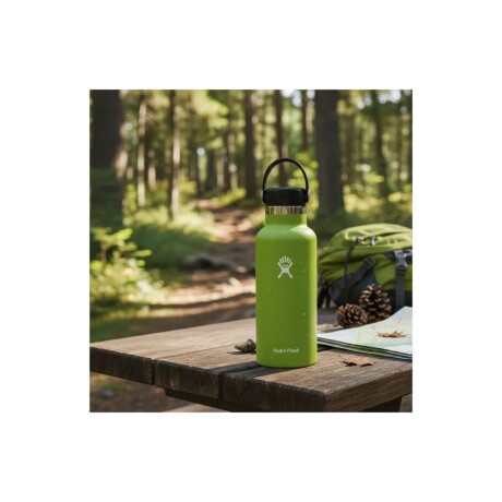 Botella 21 Oz (621ml) Standard Flex Hydro Flask Seagrass