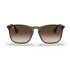 RayBan Chris Carey