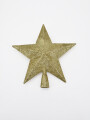 PUNTERO ESTRELLA DORADO