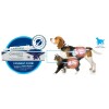 Canigest Combi 16mL Canigest Combi 16mL