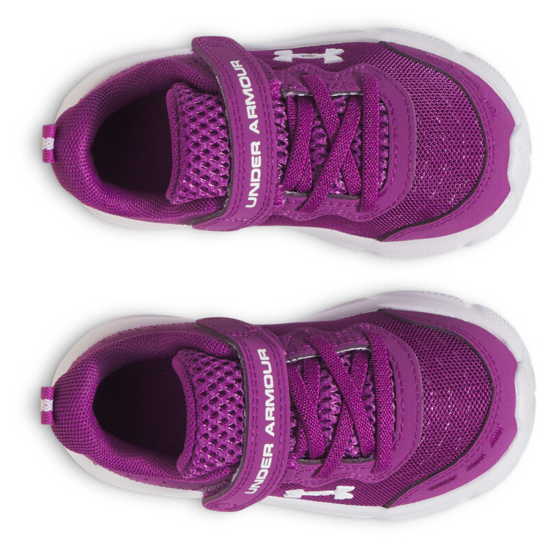 UA GINF Assert 10 AC-PNK PPL-514