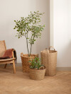 Cesta HERMAN Ø37xA25cm hierba marina Cesta HERMAN Ø37xA25cm hierba marina