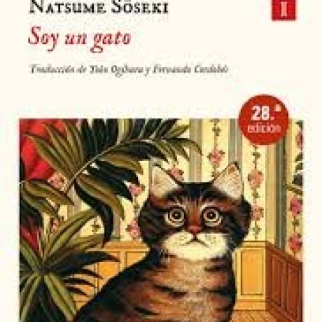 SOY UN GATO SOY UN GATO