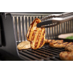 Parrilla Génesis E-315 Parrilla Génesis E-315