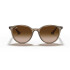 RayBan 4305 RayBan 4305
