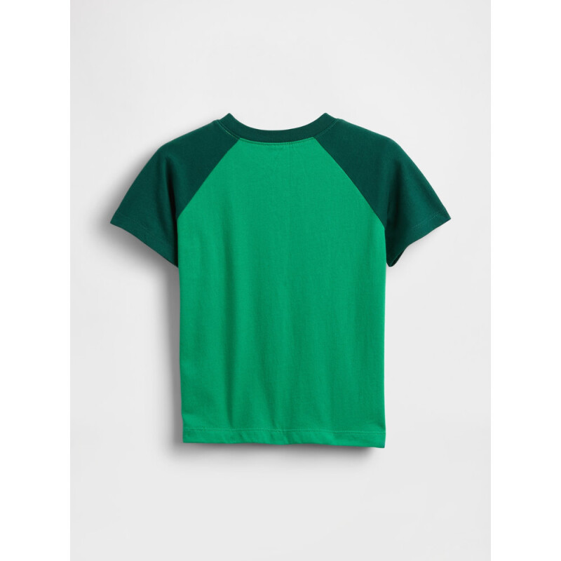 V-FRCH SS LOGO GRPH RAGLAN T GALLANT GREEN