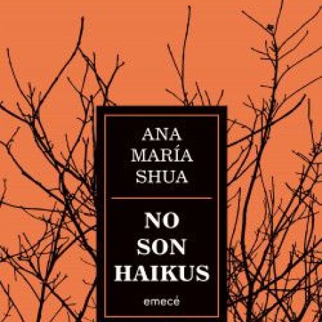 NO SON HAIKUS NO SON HAIKUS