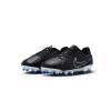 Championes Nike Jr Legend 10 De Niño Gray