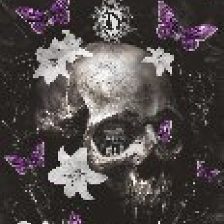 NOCTICADIA NOCTICADIA