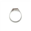 Anillo Profesión Ingeniería -Plata y Oro -Sin Piedra-AP5061 sinpiedra