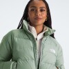 Campera HydrenaliteTM Slate Moss