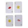 Juego de Cartas Flora Nativa del Uruguay Pika Juego de Cartas Flora Nativa del Uruguay Pika