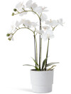 Planta artificial MATINUS A62cm flores Planta artificial MATINUS A62cm flores