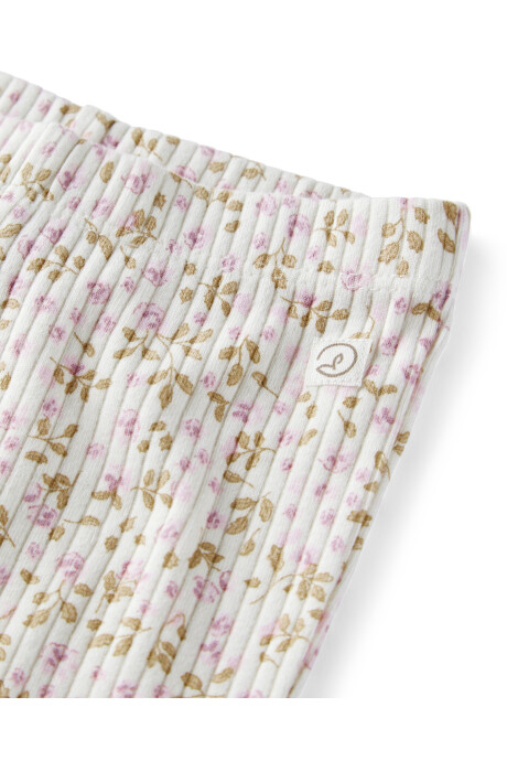 Pack dos pantalones de algodón orgánico acanalado Sin color