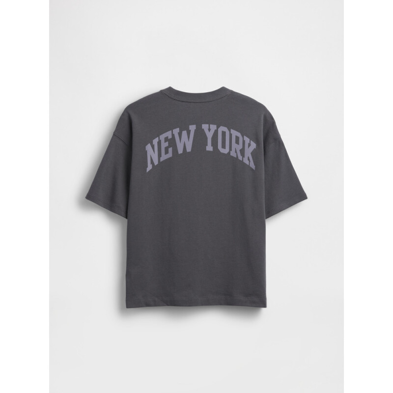 FR SUM26 HW SS LOGO T BLUE SLATE