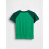 V-FRCH SS LOGO GRPH RAGLAN T GALLANT GREEN