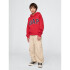 V-FRCH FT BAS HERITAGE LOGO PO LIGHT HEATHER GREY B08 L MODERN RED