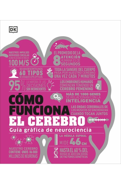 COMO FUNCIONA EL CEREBRO COMO FUNCIONA EL CEREBRO