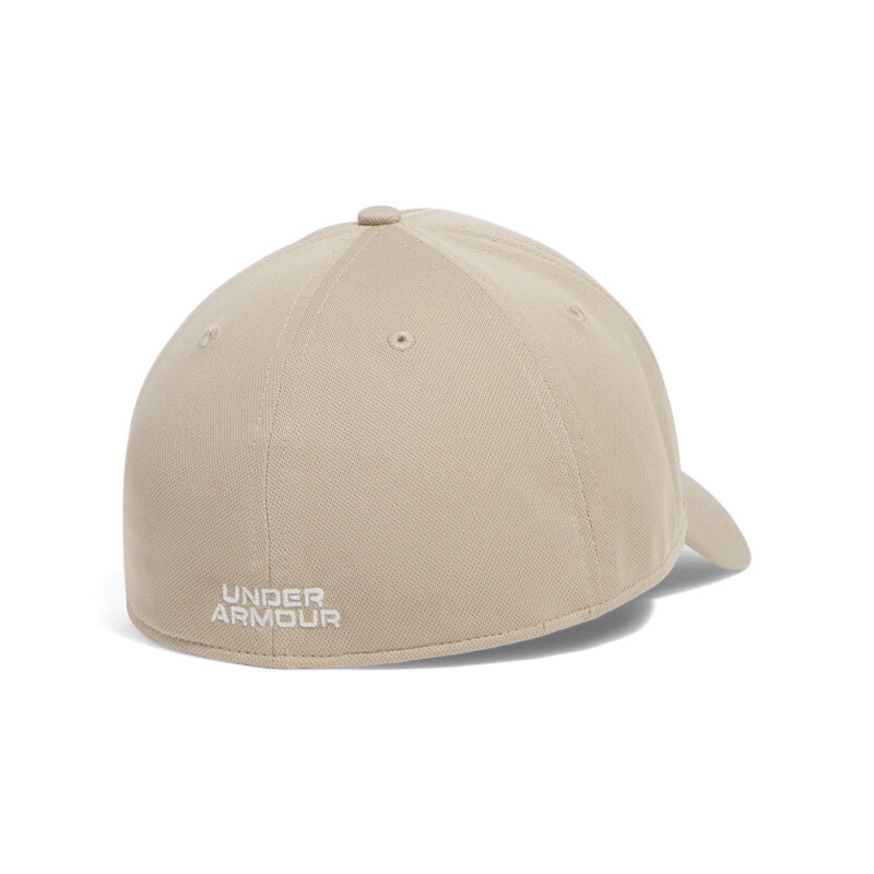 Men's UA Blitzing-BLU BRN-299
